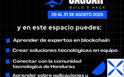 HubXperience Q1